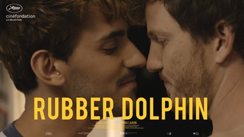 Rubber Dolphin