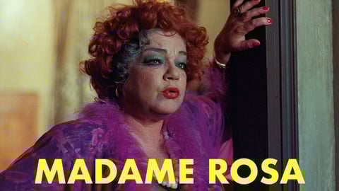 Madame Rosa - La vie devant soi