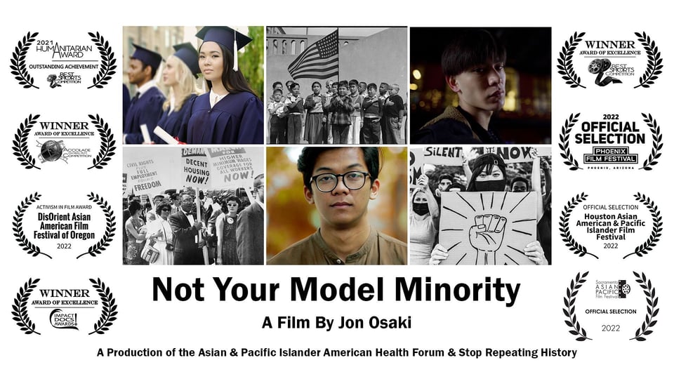 Cover art from video Not Your Model Minority