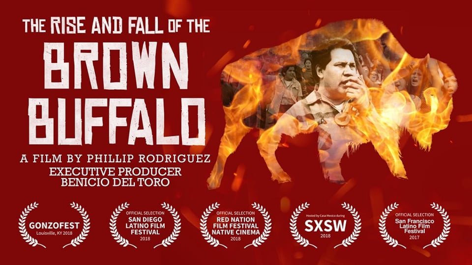 The Rise and Fall of the Brown Buffalo: Oscar Zeta Acosta: From Latino Activist to Dr. Gonzo