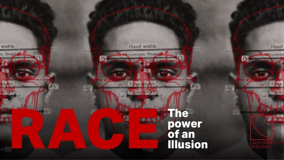 Image result for race, the power of an illusion"