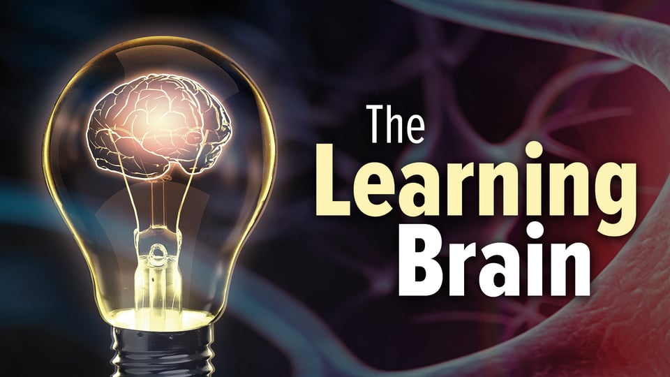 Still image from video series The Learning Brain