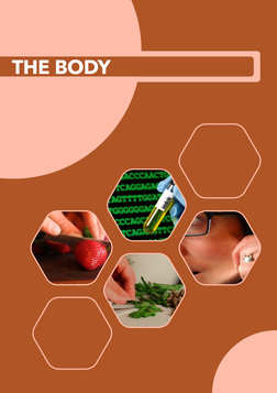 The Body - For Kindergarten - 3rd Grade