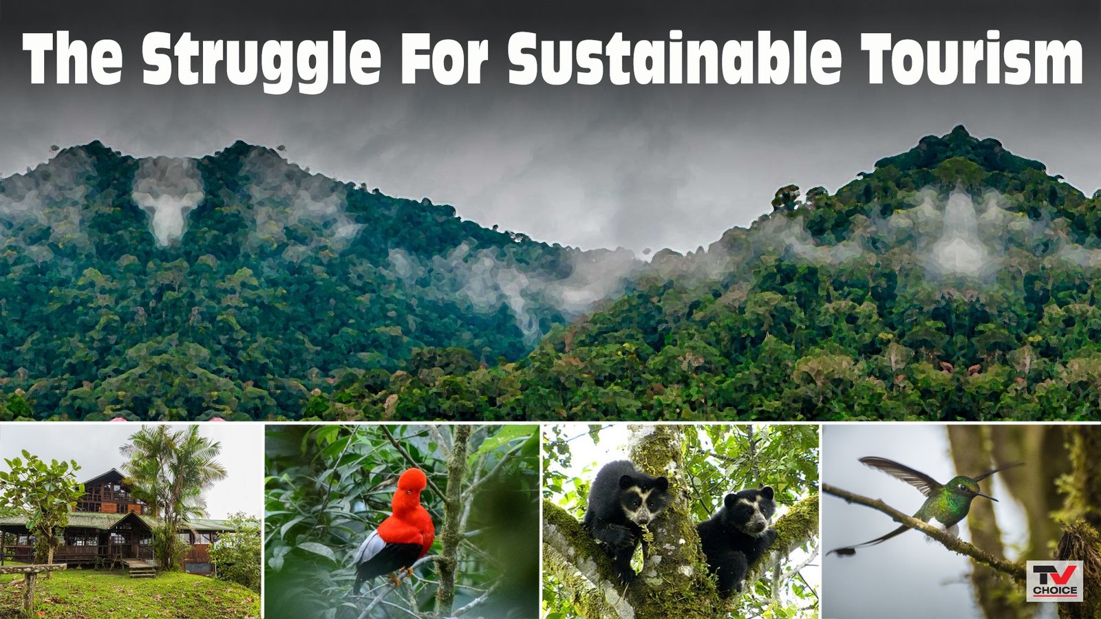 Sustainable Tourism Collection