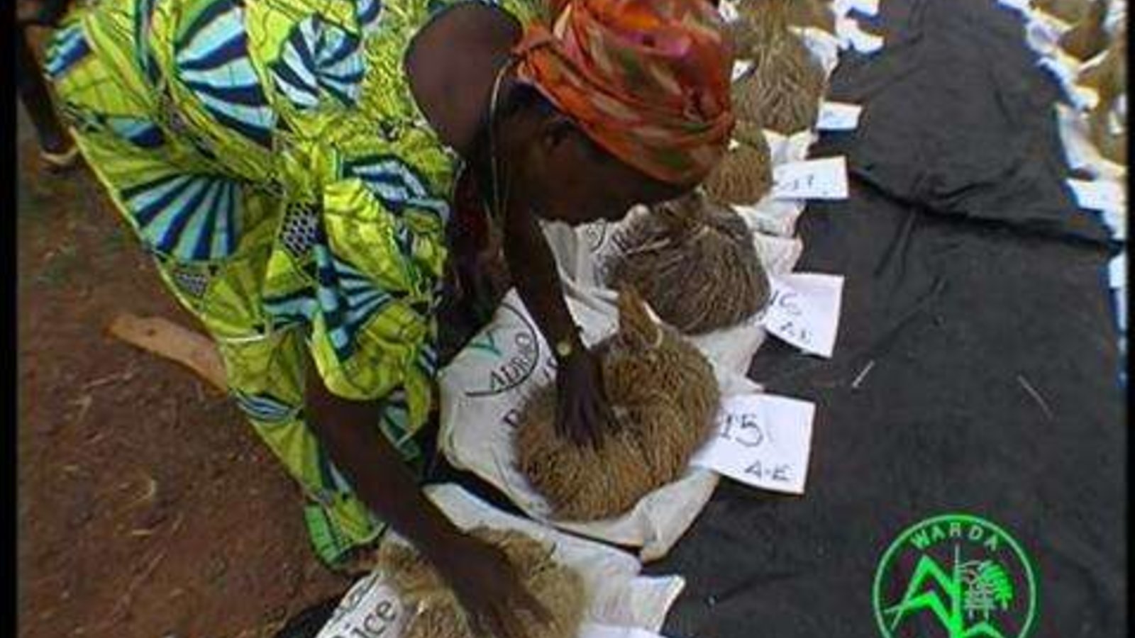 Bintu and Her New African Rice - A Genetic Bridge to Food Security and Biodiversity