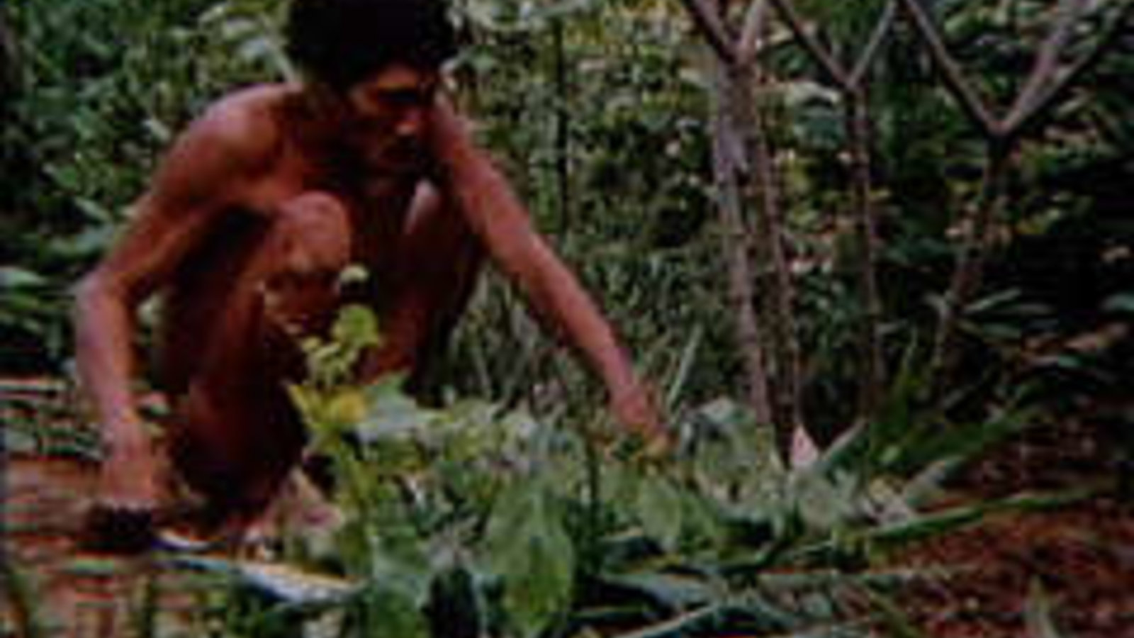 Weeding the Garden