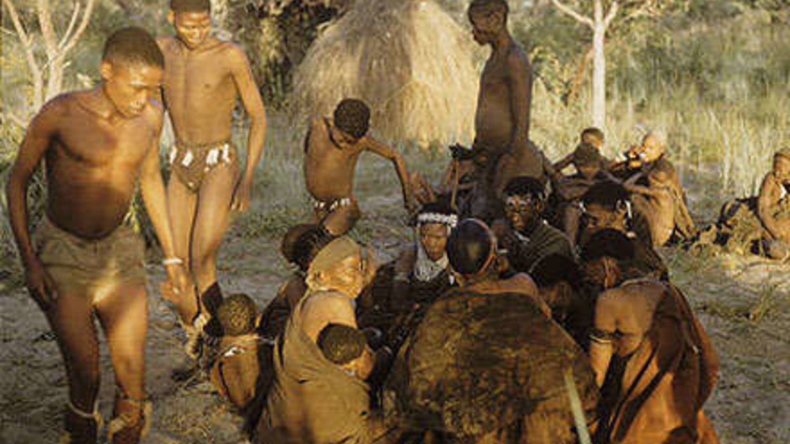Traditional Life