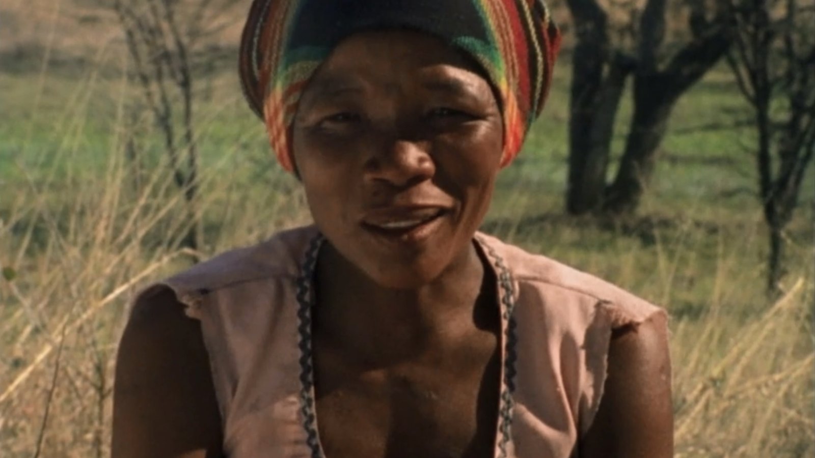 N!ai, The Story of a !Kung Woman
