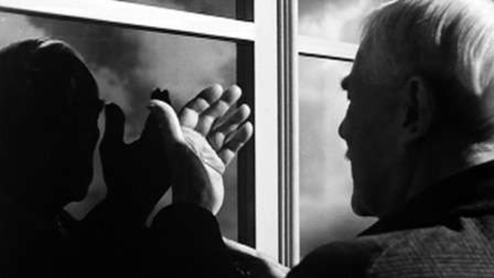Wild Strawberries
