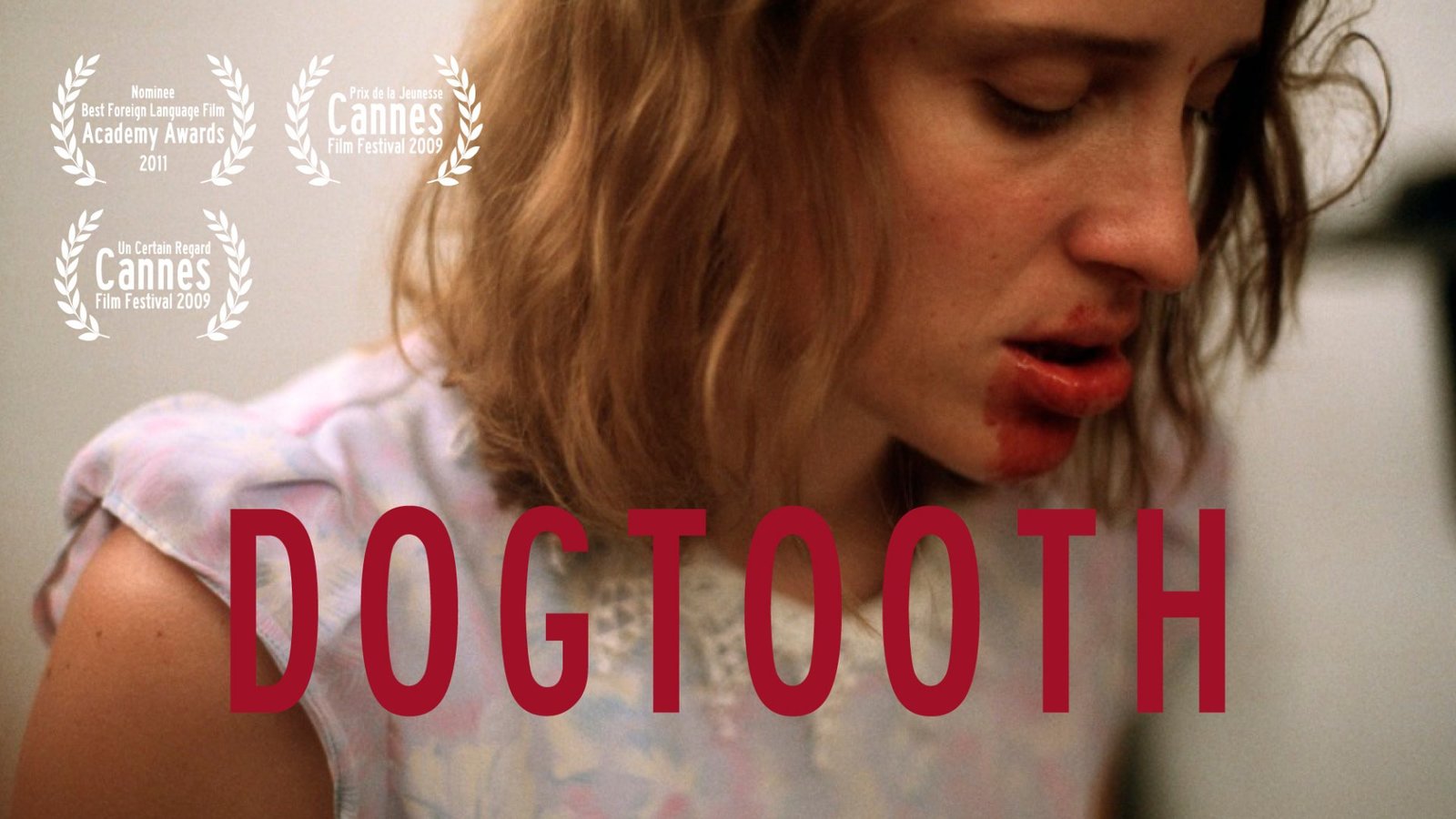 Dogtooth - Kynodontas