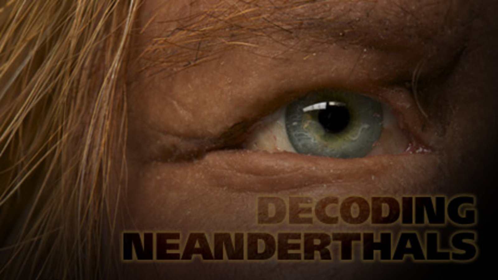 Decoding Neanderthals