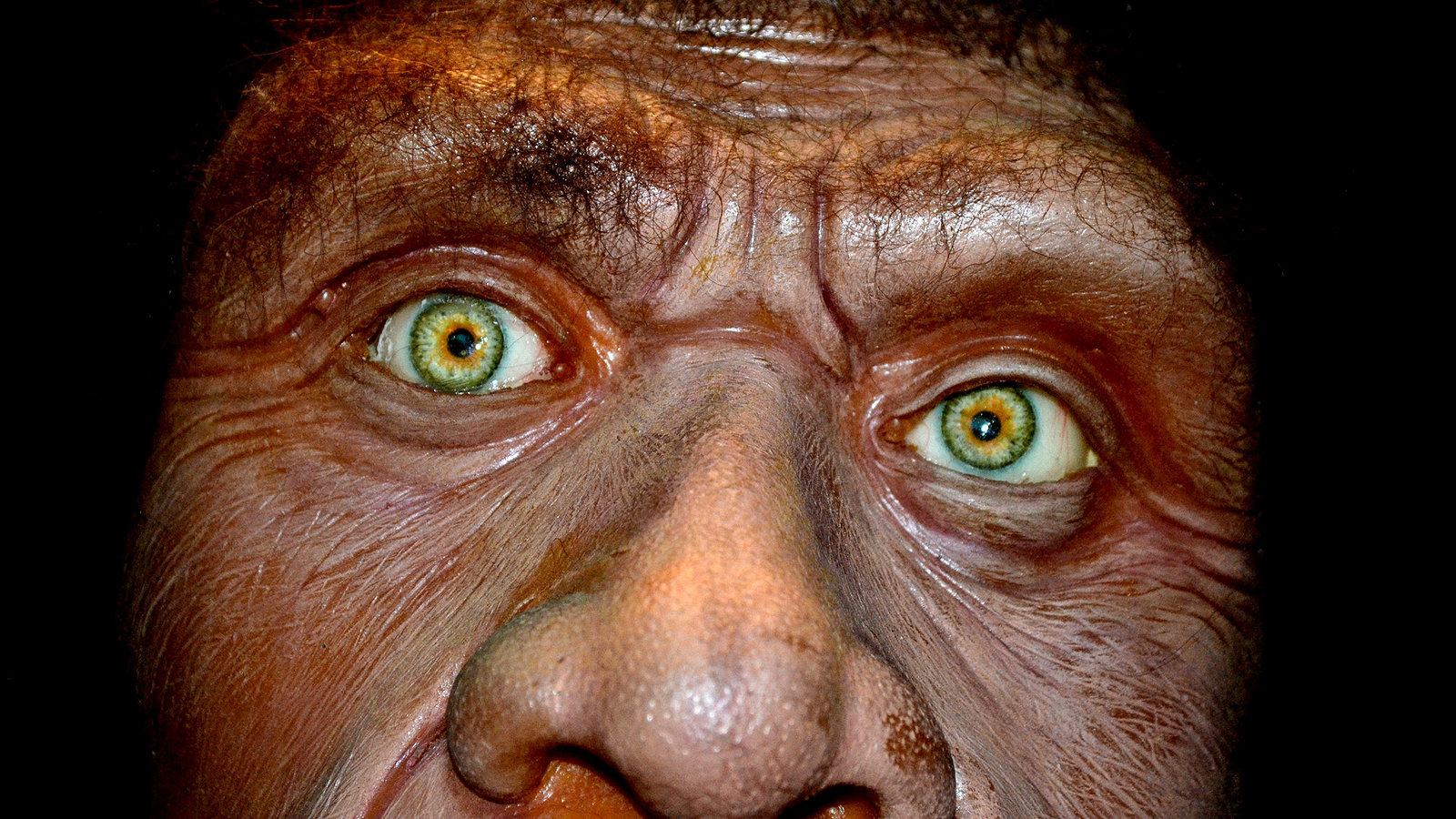 Secrets of the Dead - Caveman Cold Case