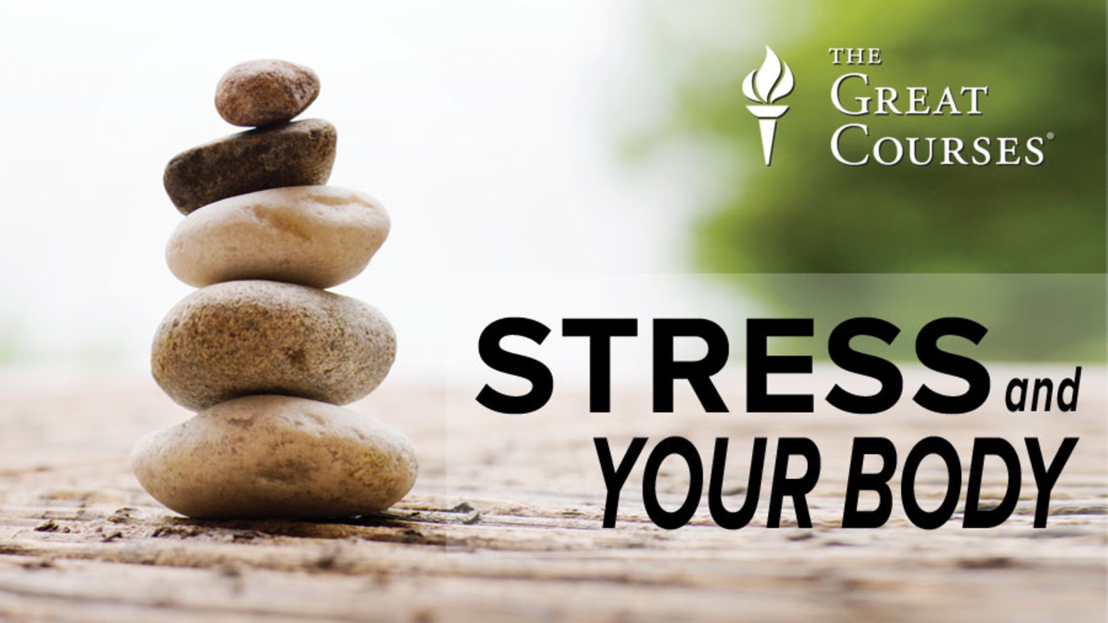 Stress and Your Body