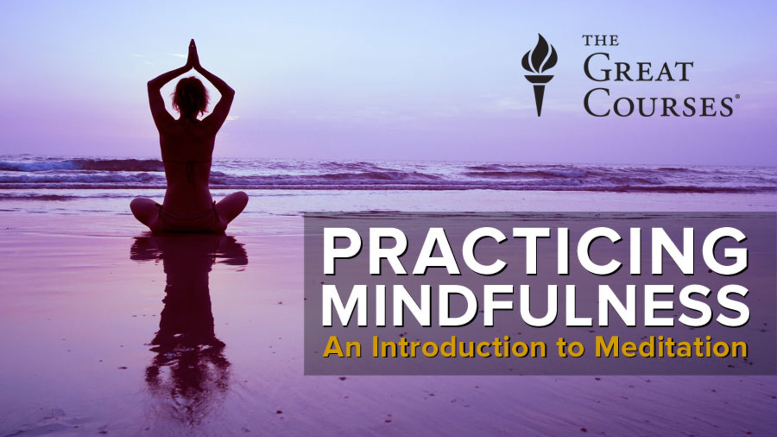 Practicing Mindfulness - An Introduction to Meditation