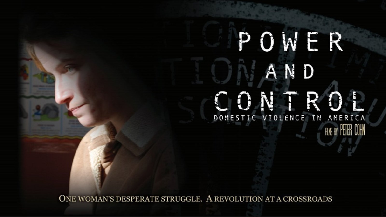 Power and Control - Domestic Violence in America