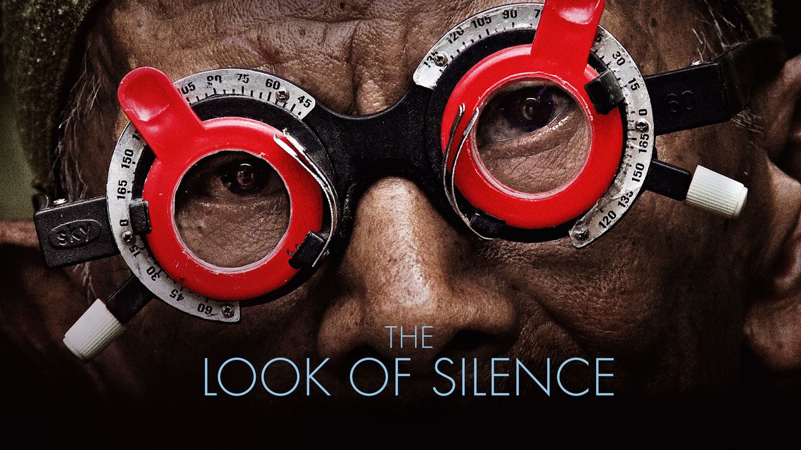 The Look of Silence