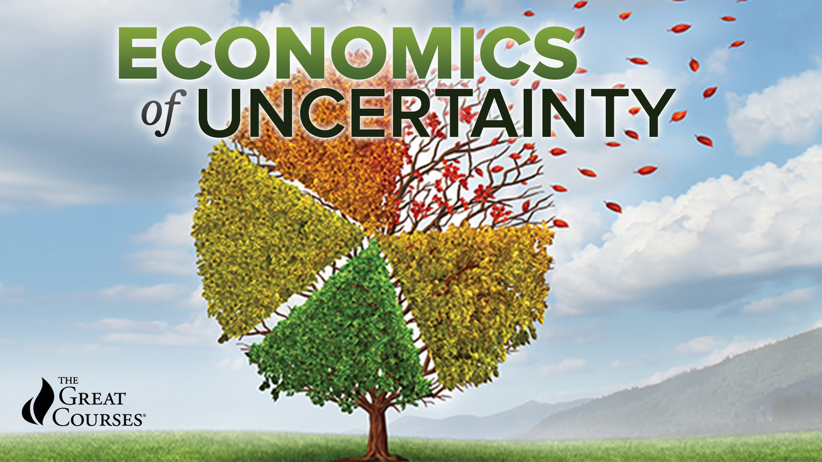 The Economics of Uncertainty