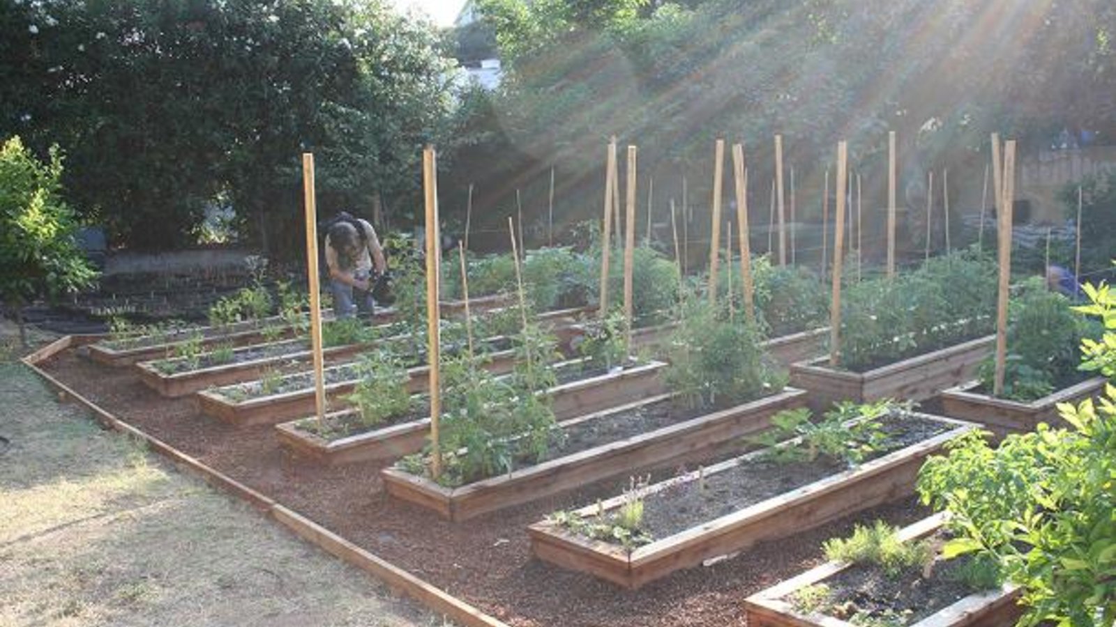 In Organic We Trust - Understanding Organic Food