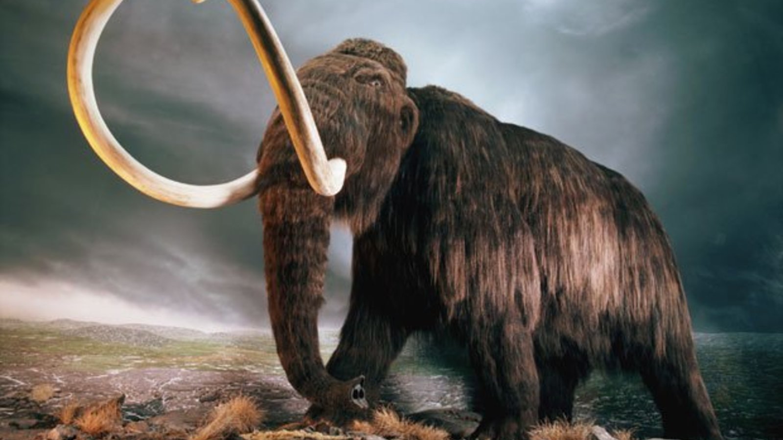 Last Extinction - Megabeasts' Sudden Death