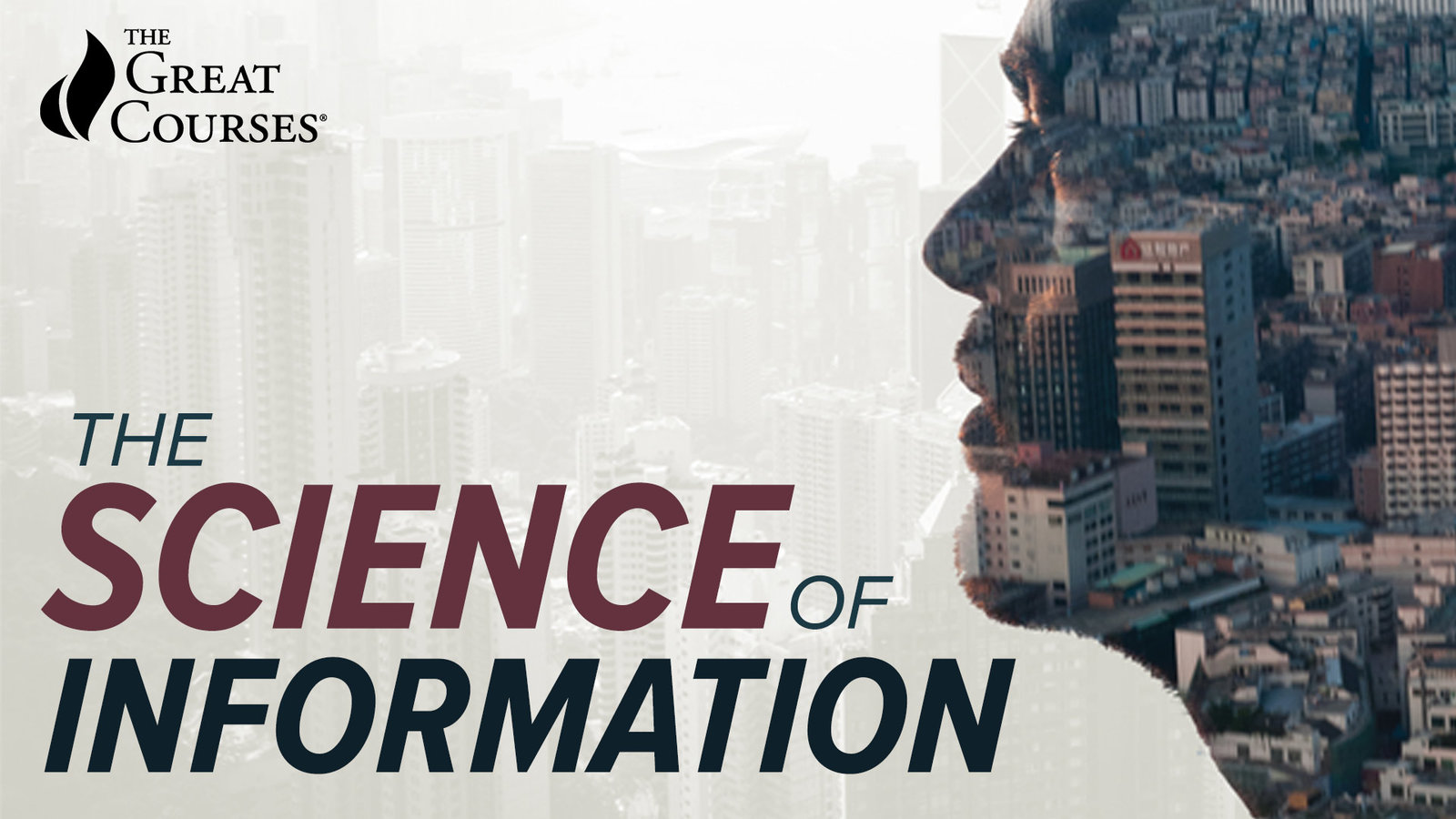 The Science of Information - From Language to Black Holes