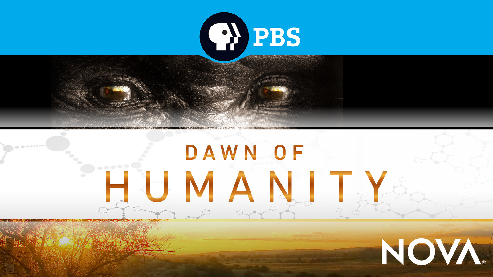 Dawn of Humanity