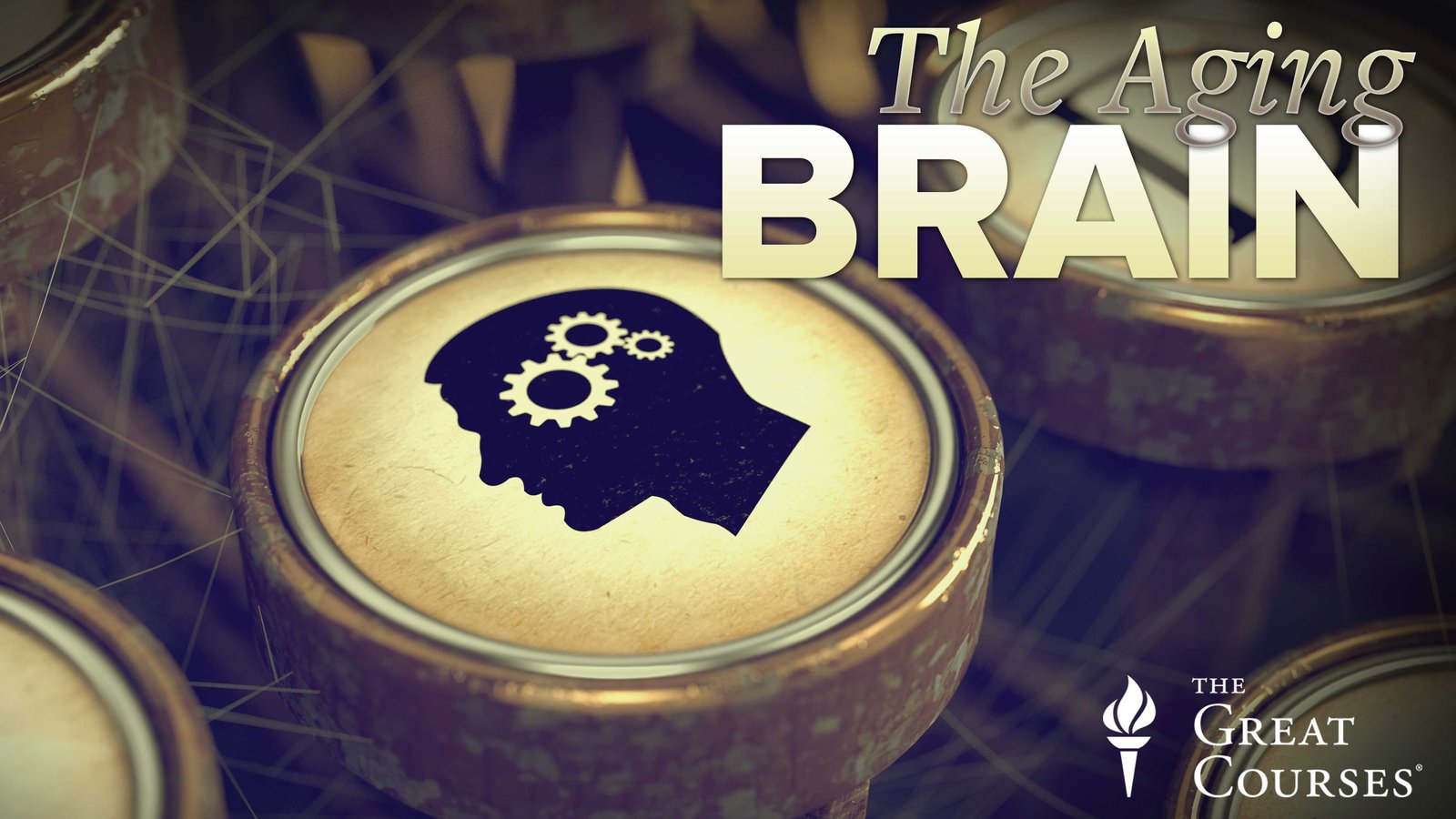 The Aging Brain