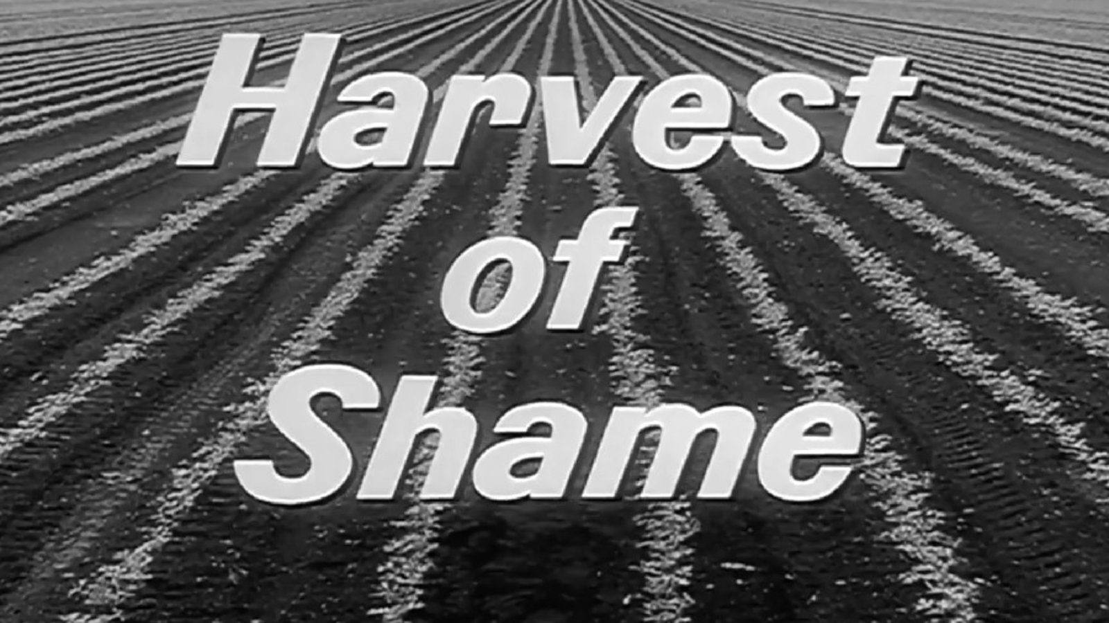 Harvest of Shame