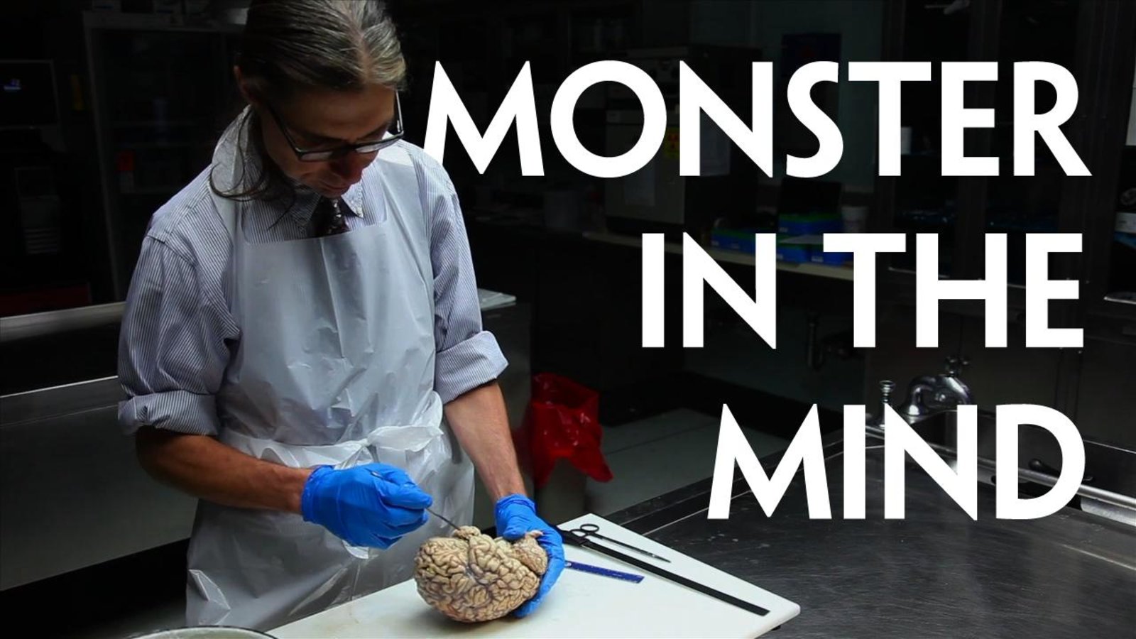 Monster in the Mind - Investigating the Untruths of Alzheimer’s