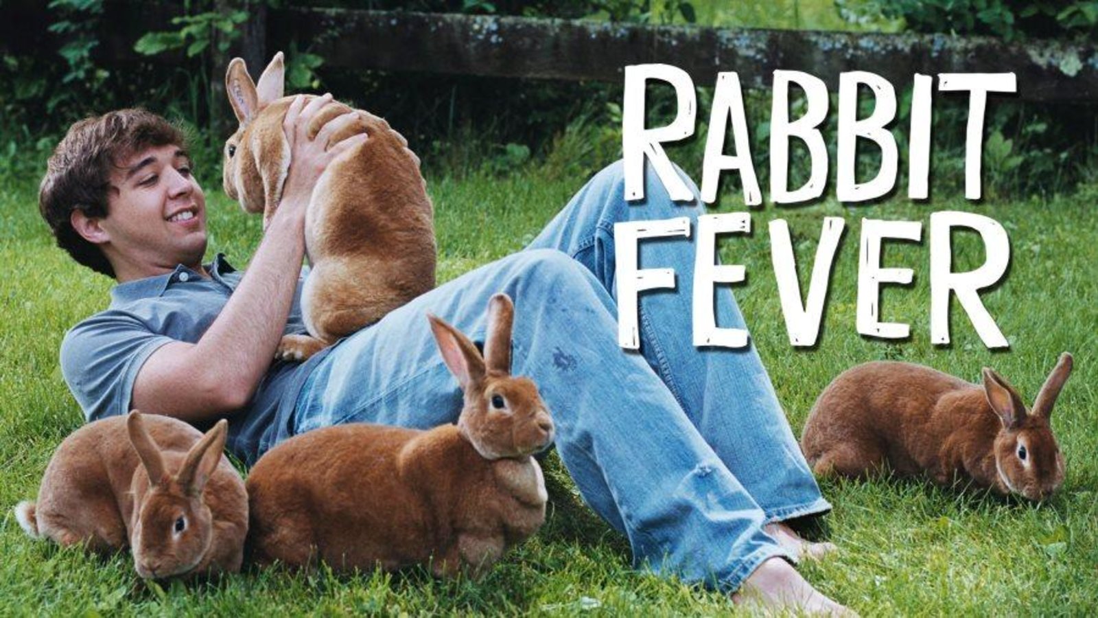 Rabbit Fever - Who Will Win Rabbit King & Queen?