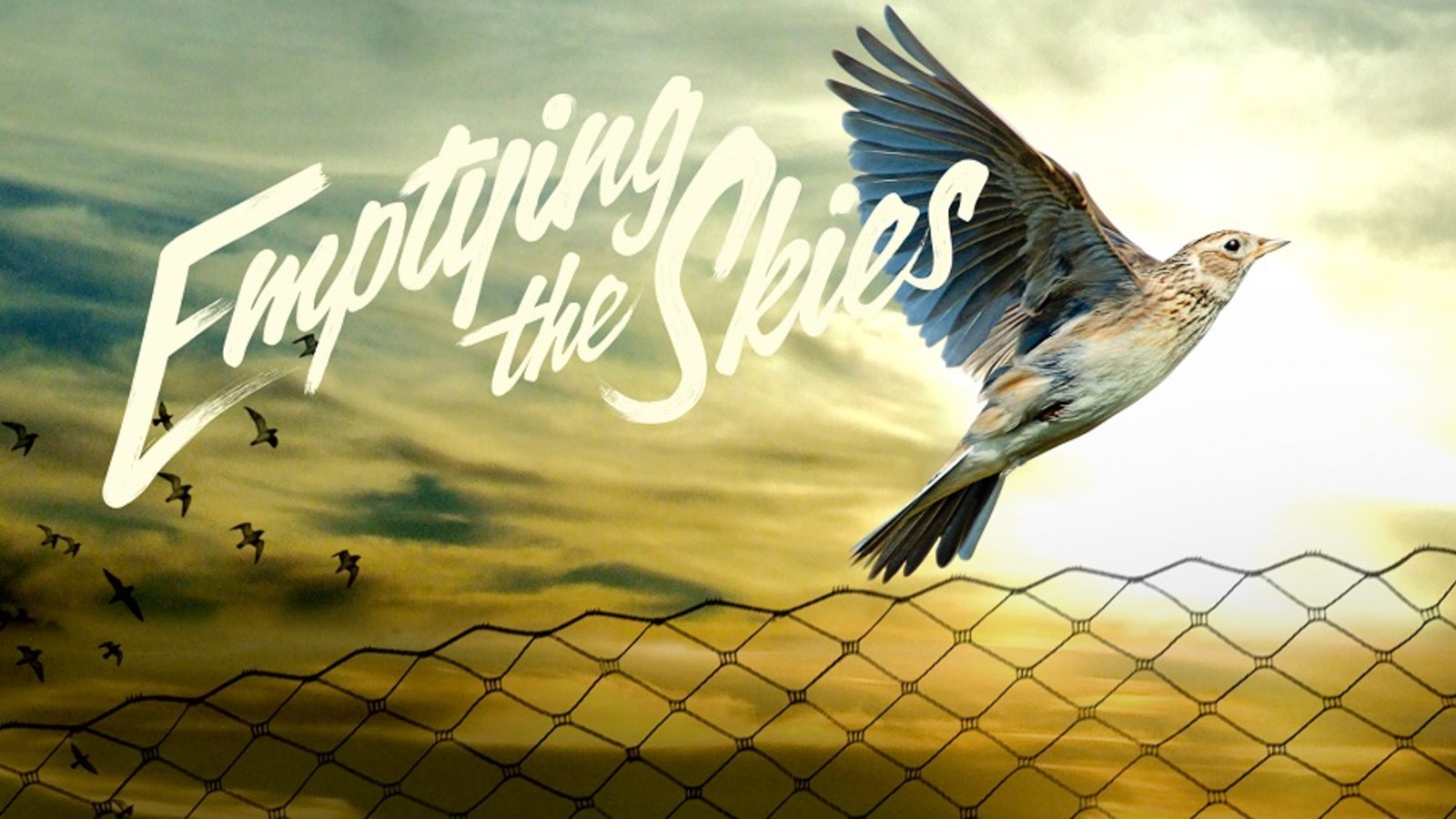 Emptying the Skies - Saving the Songbirds of Southern Europe