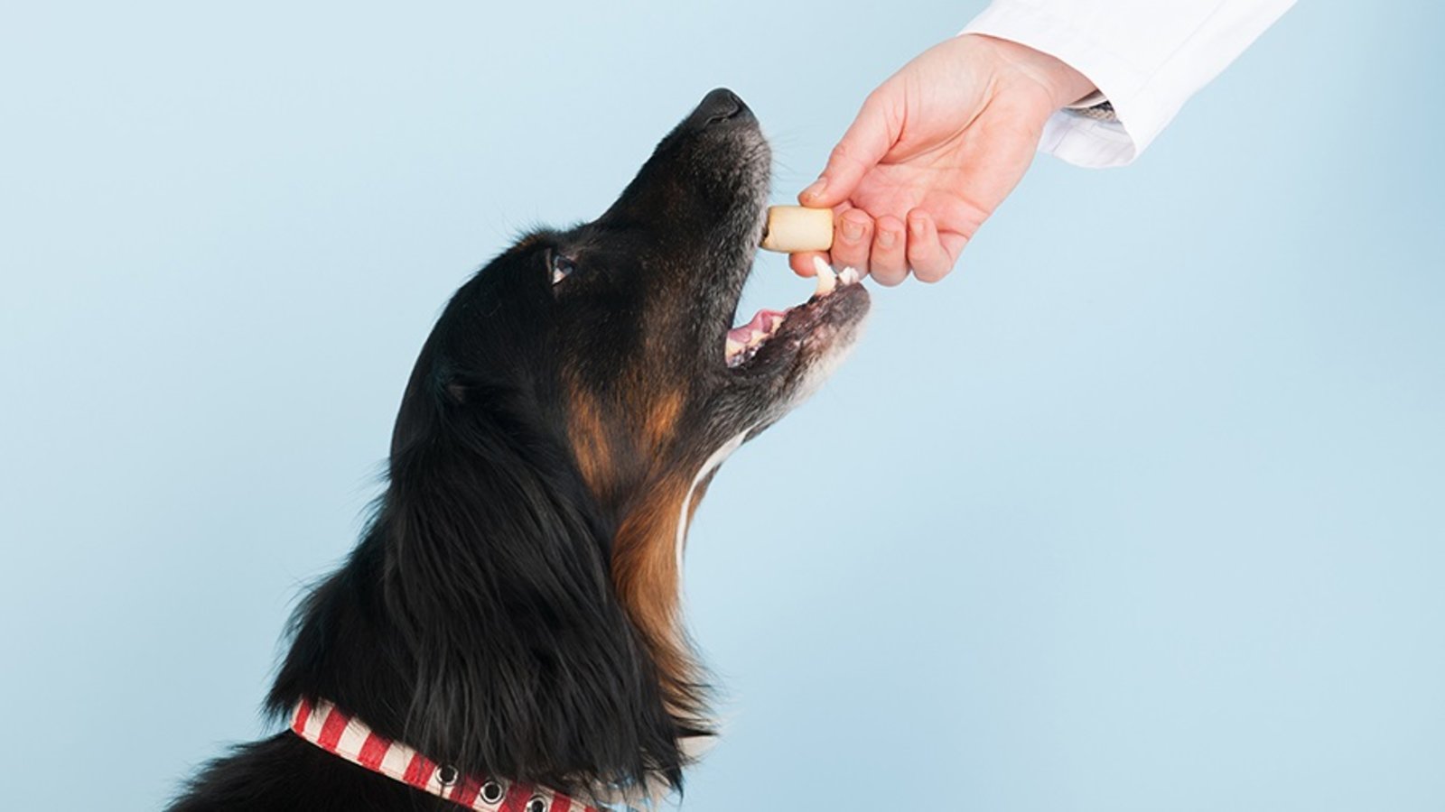 The Psychology and Neuroscience of Reward