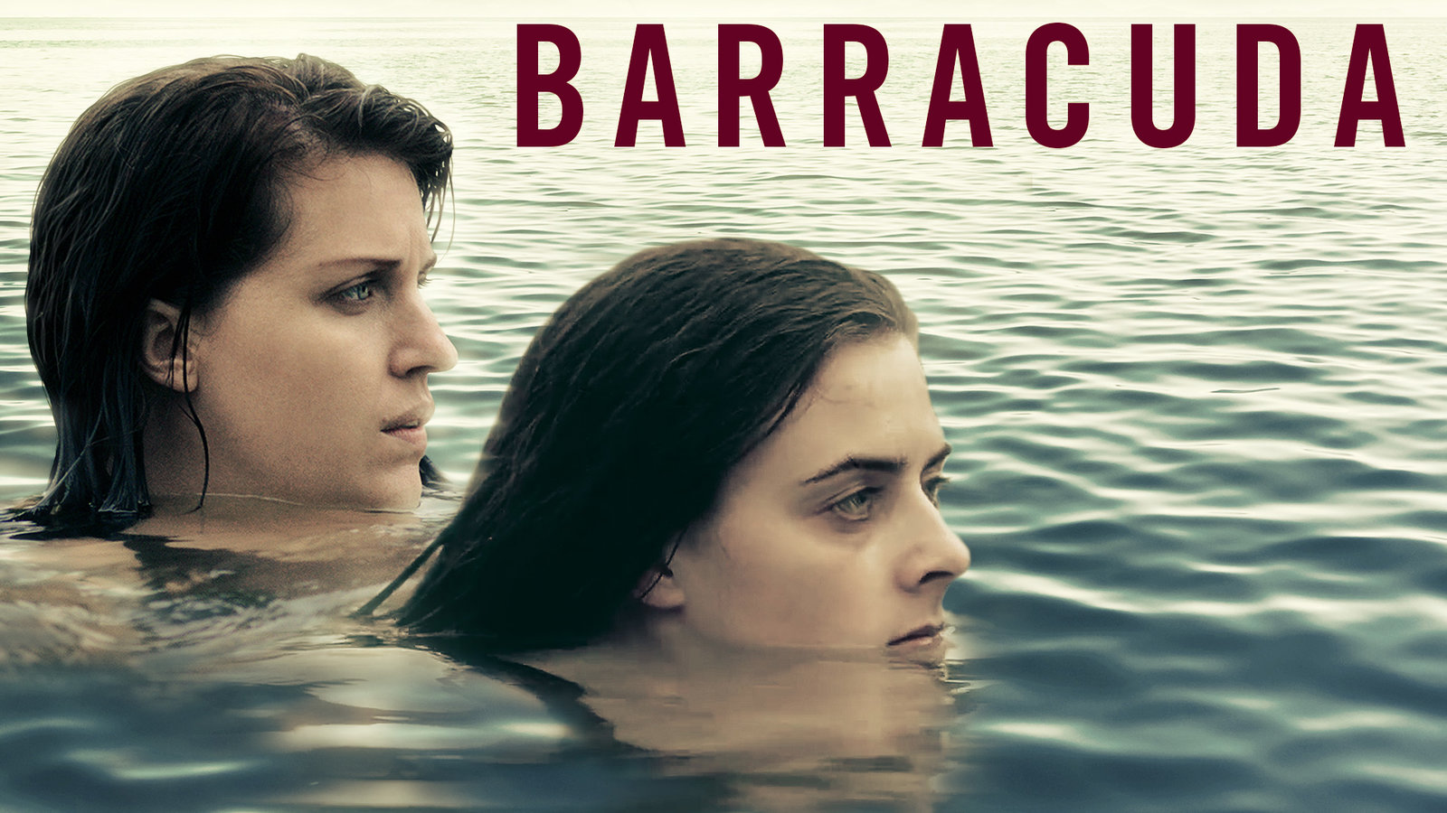 Barracuda