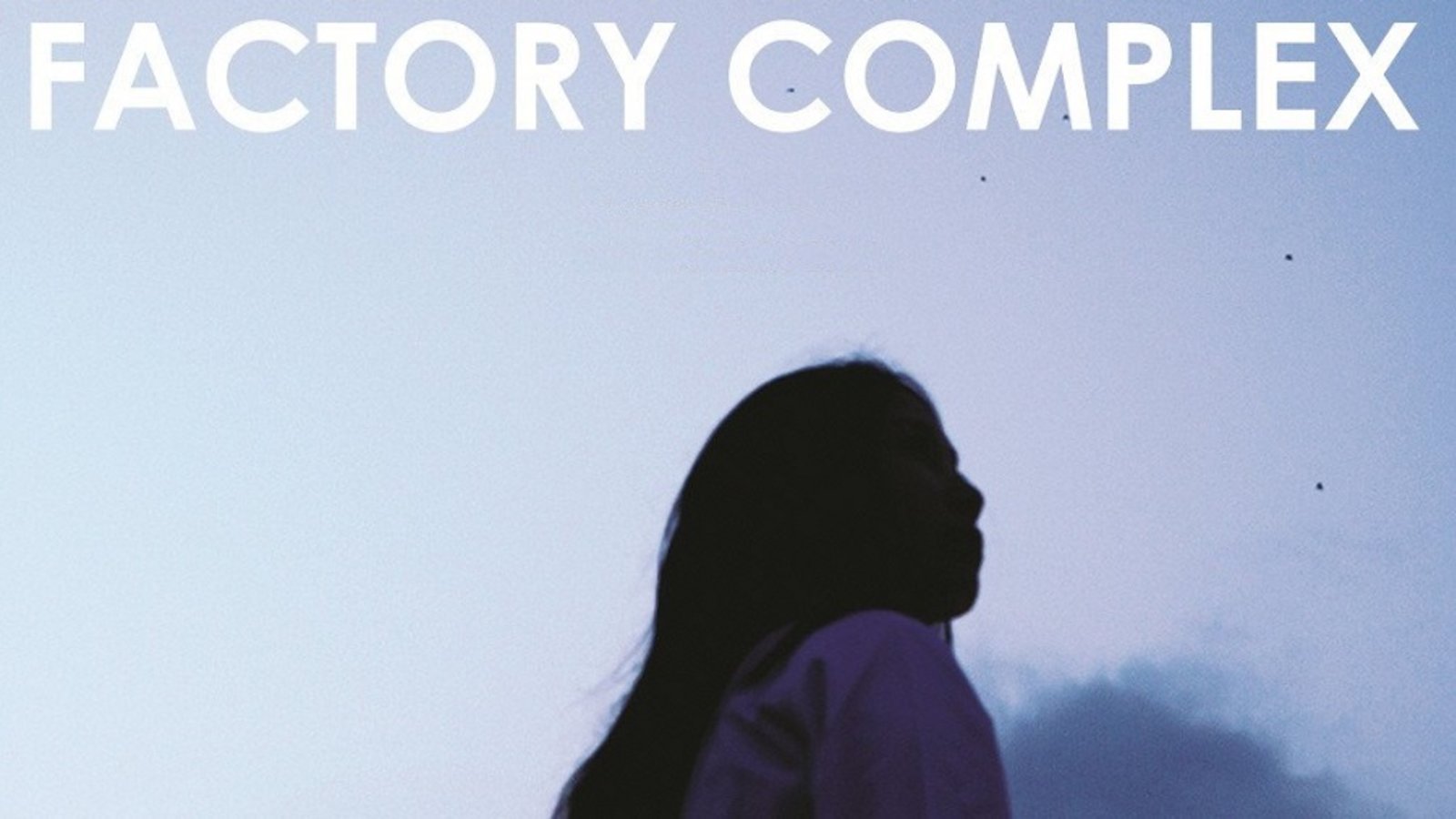 Factory Complex - The Exploitation of Female Laborers in the South Korean Workplace