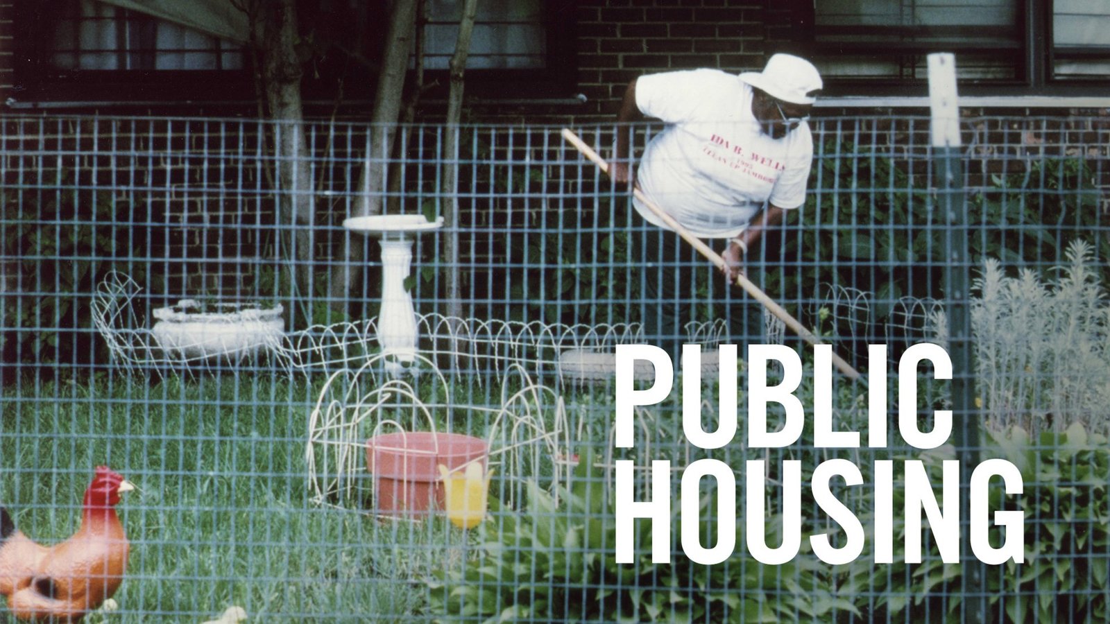 Public Housing - A Look at Poverty in Chicago