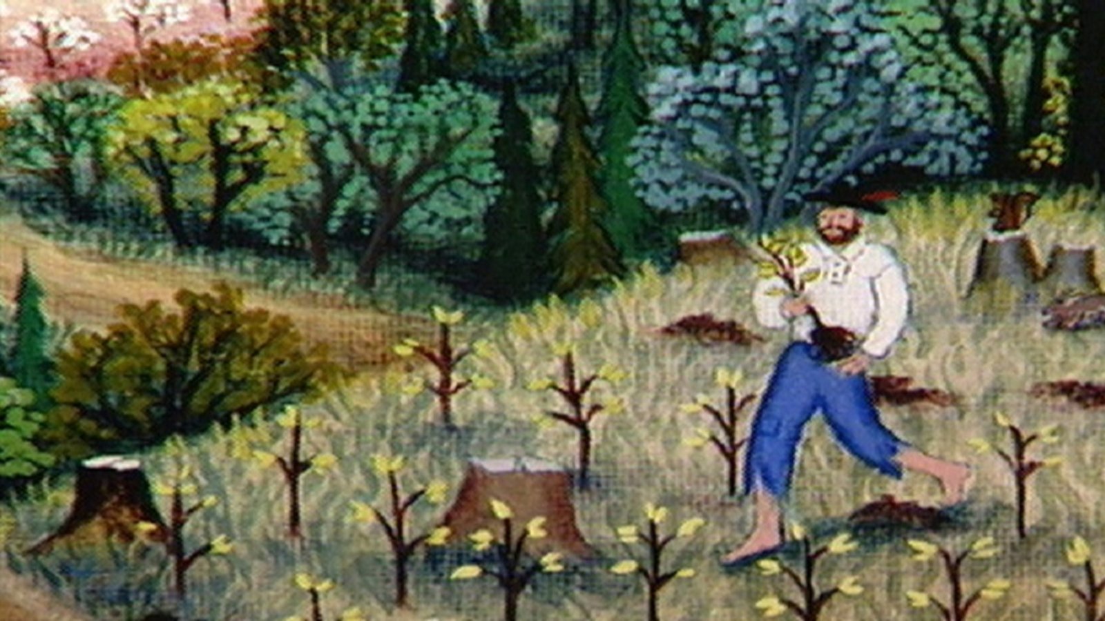 Johnny Appleseed