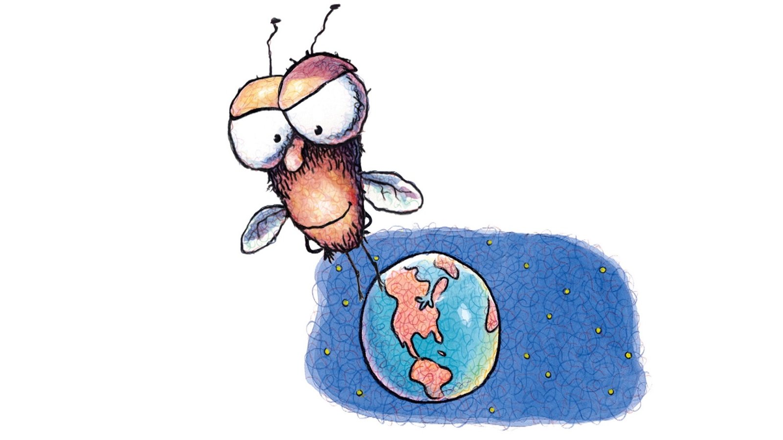 Hi! Fly Guy