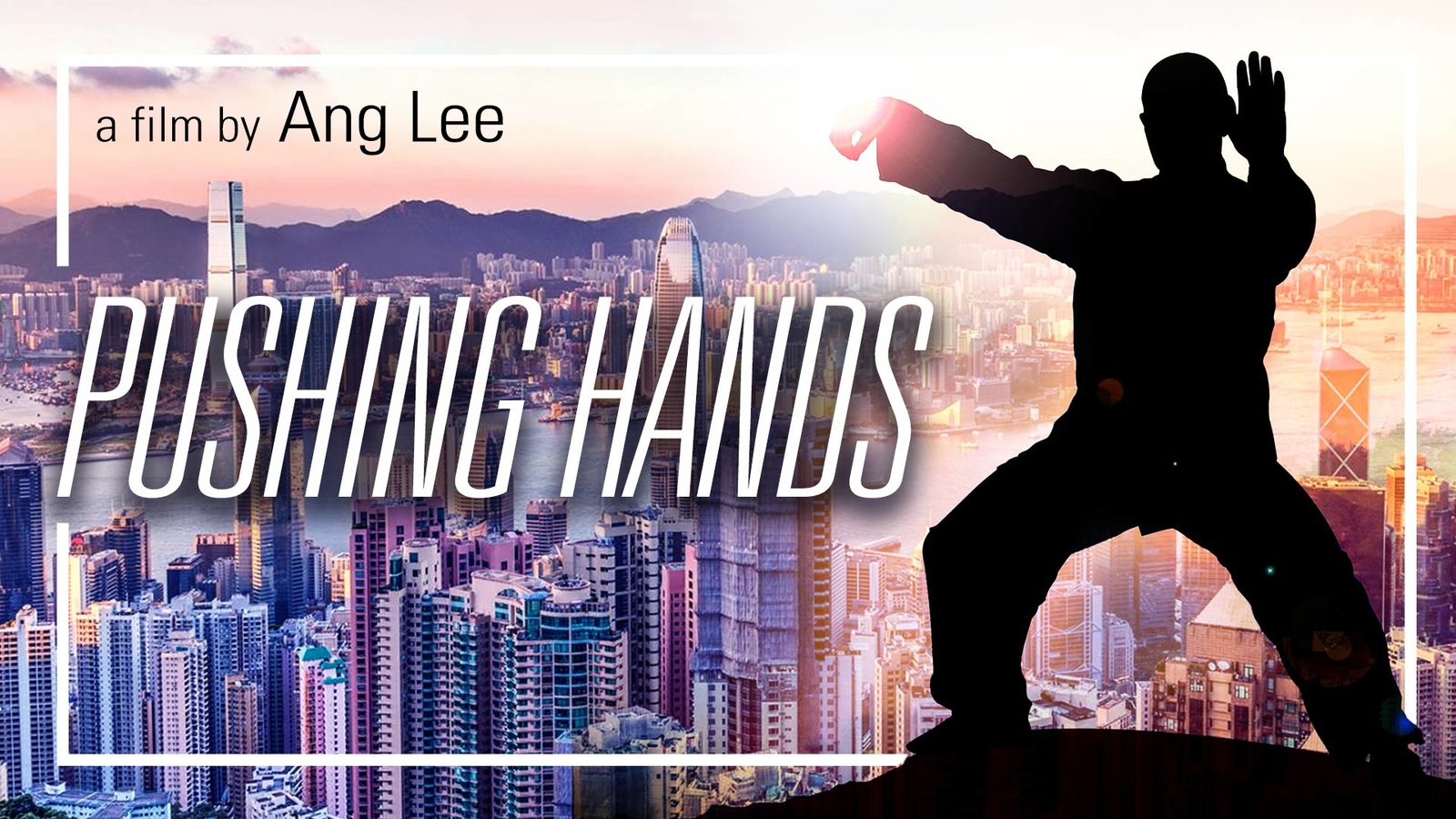 Pushing Hands - Tui shou
