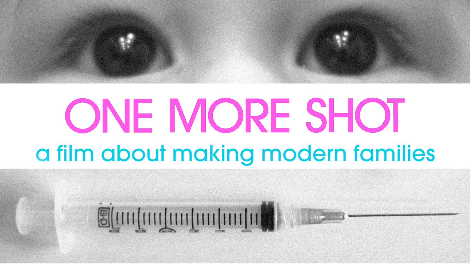 One More Shot - One Couple's Journey with Fertility Treatments