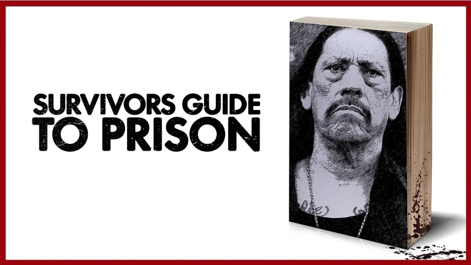 The Survivor's Guide to Prison - Exploring the Current State of the US Prison System