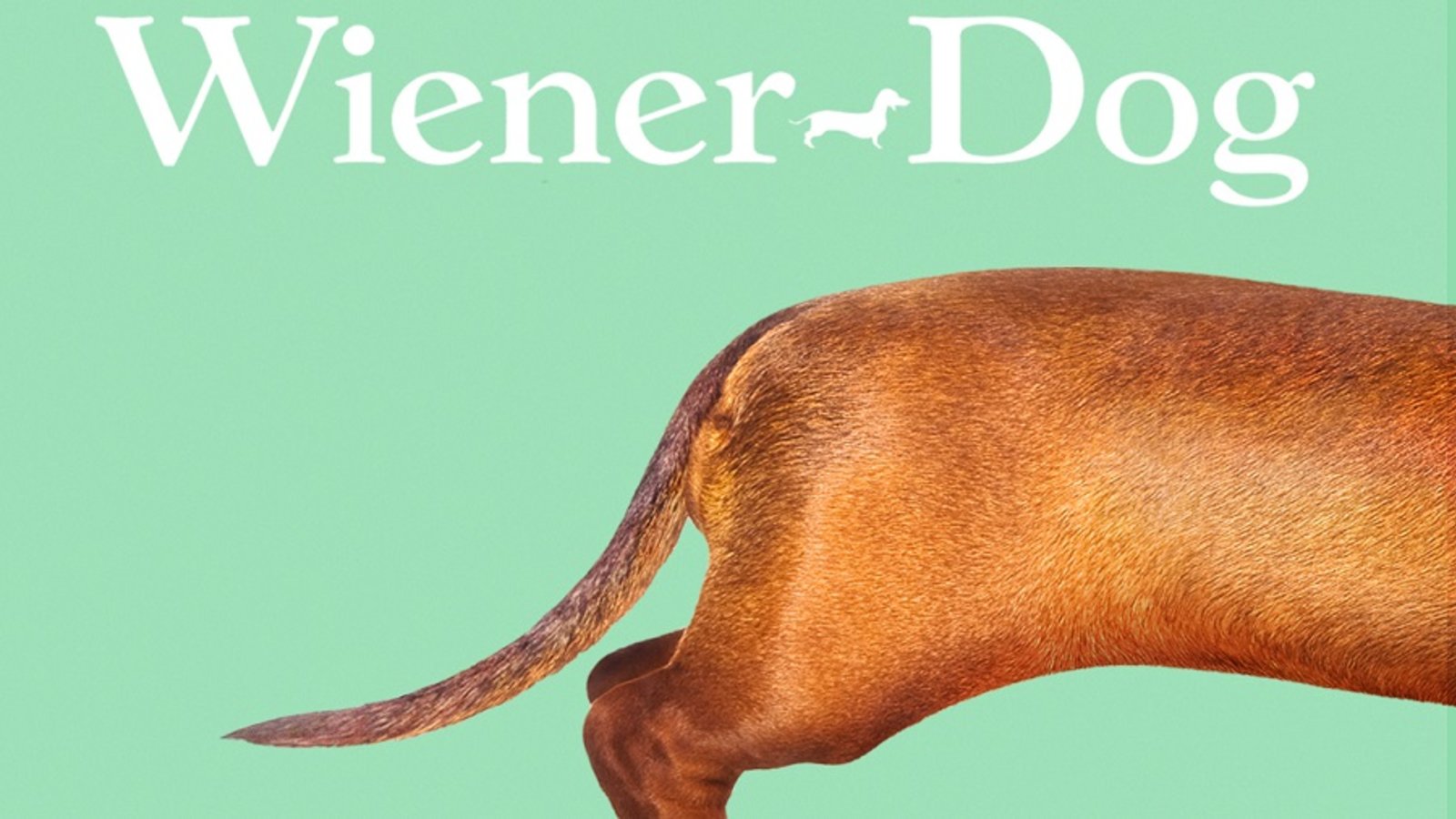 Wiener-Dog