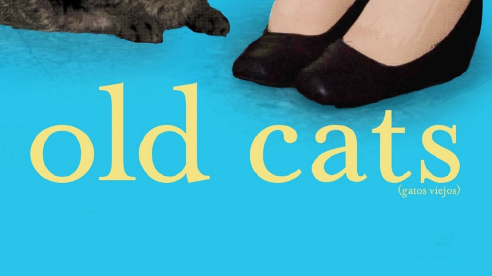 Old Cats - Gatos Viejos