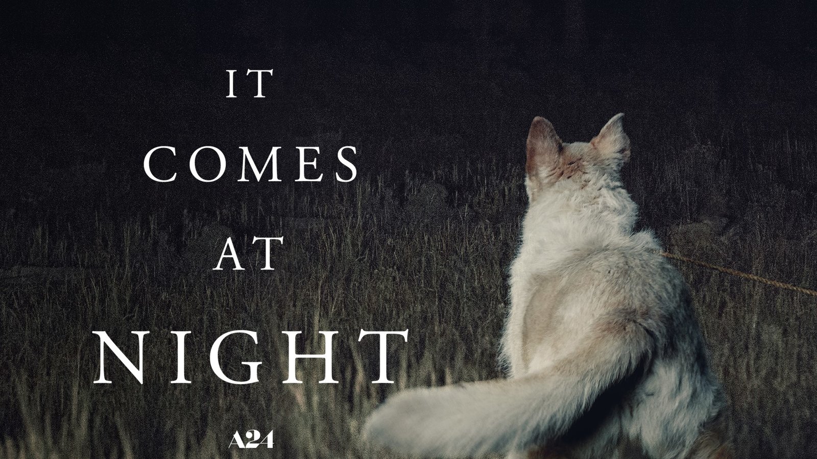 It Comes at Night