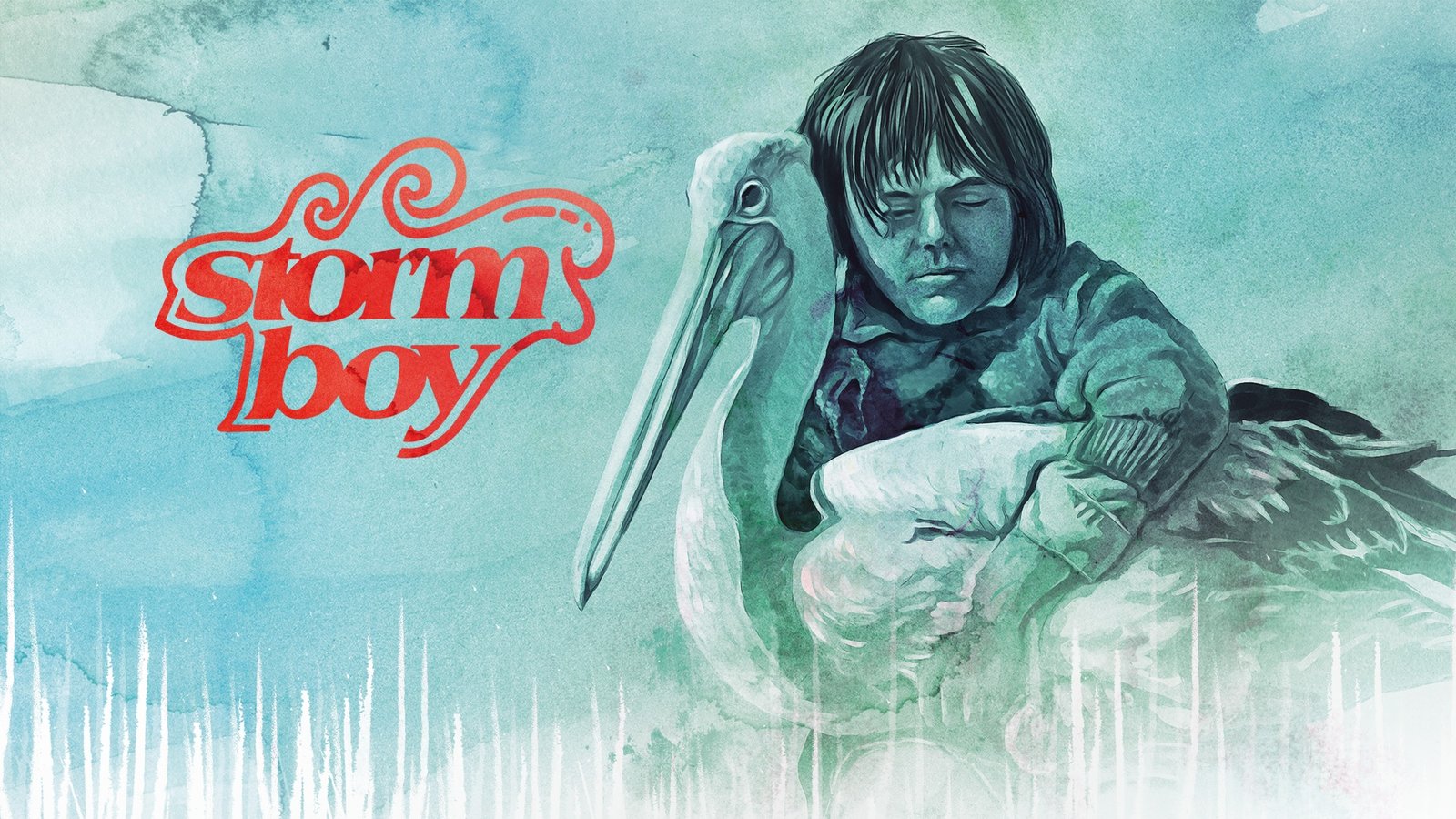 Storm Boy