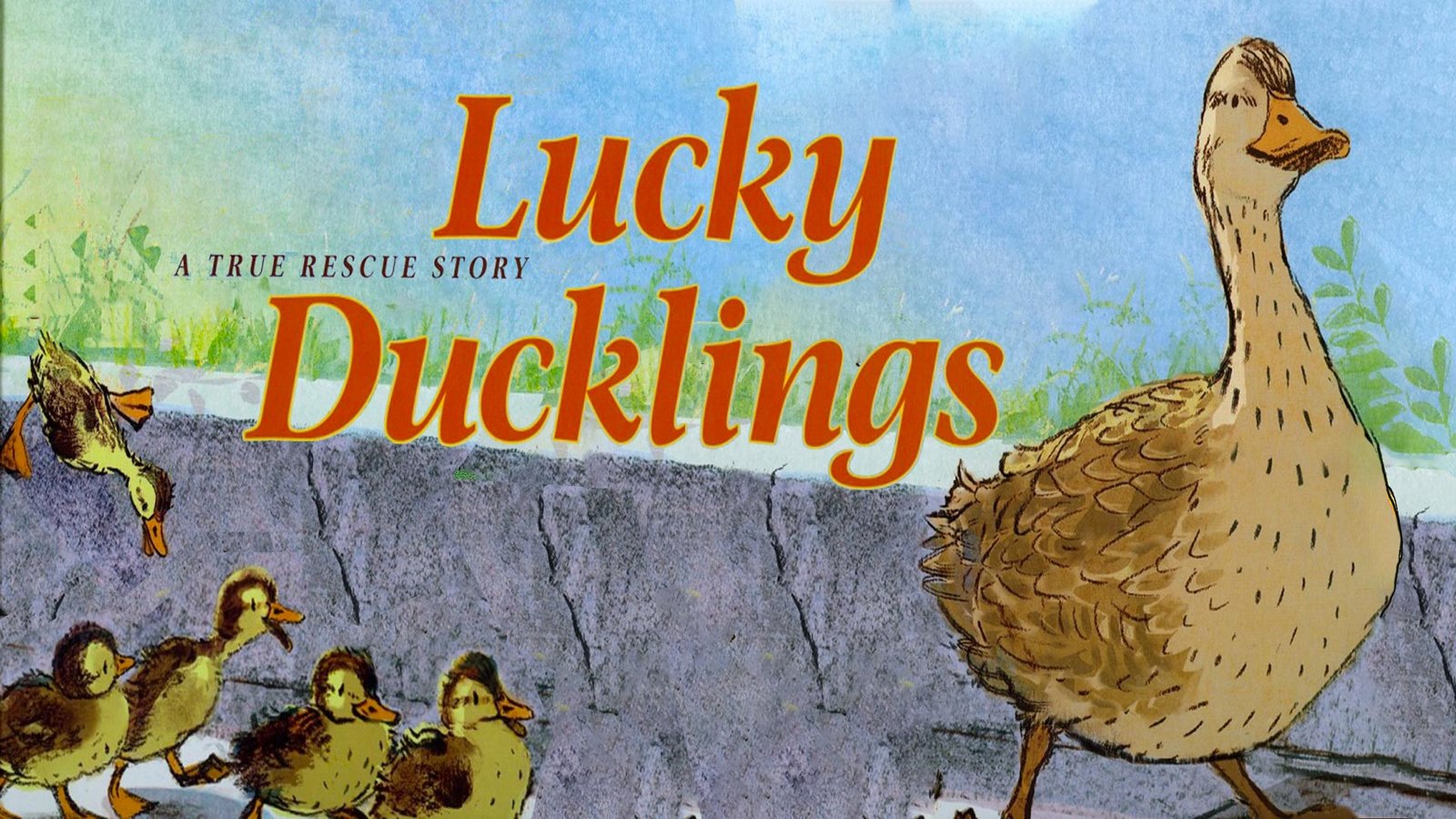 Lucky Ducklings
