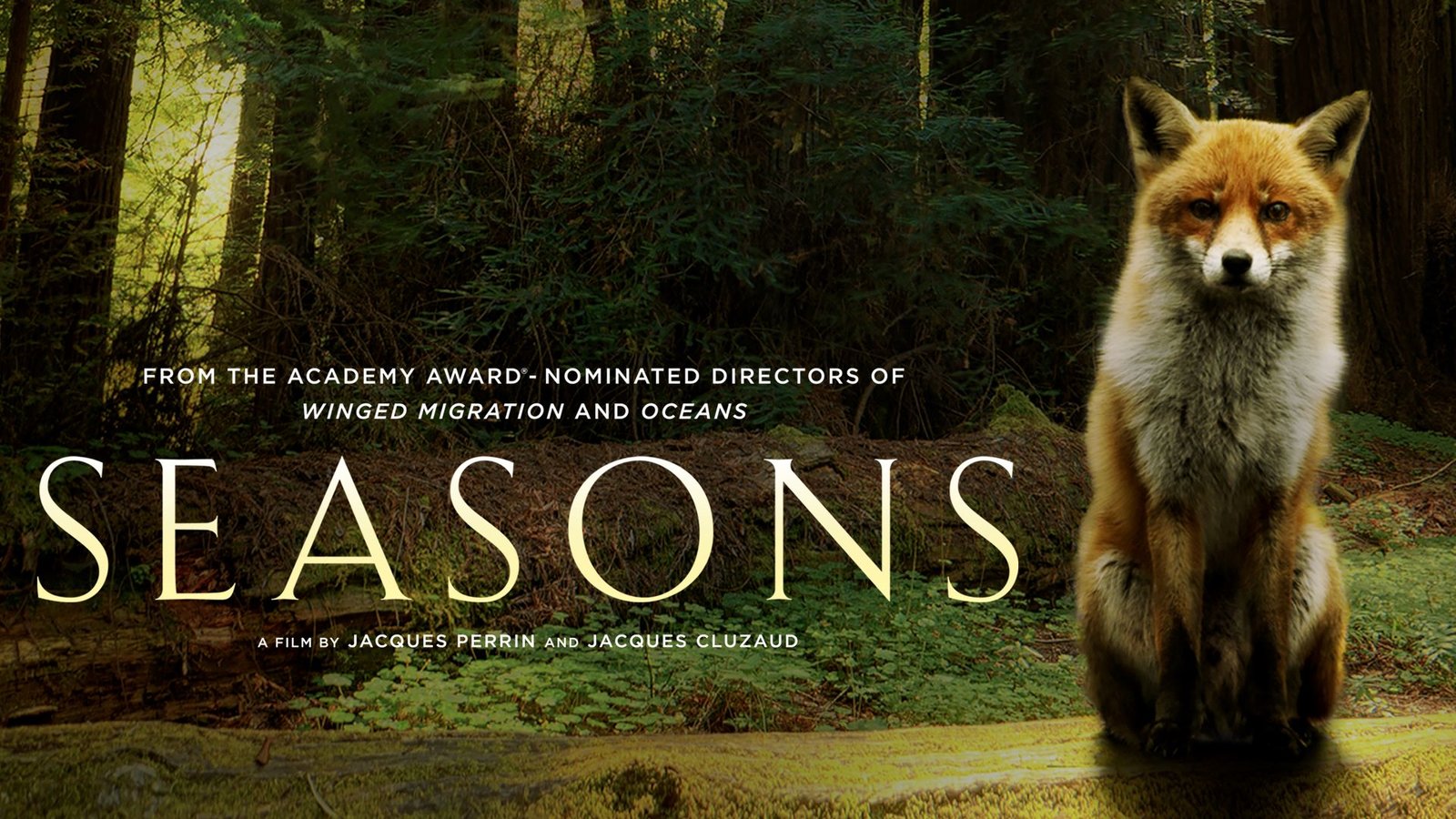 Seasons - A Journey into the Forests of Europe