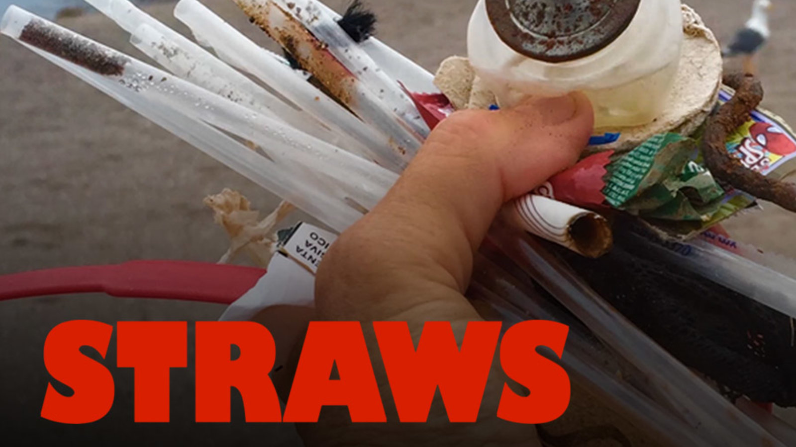 Straws - The Impact of Plastic Straws on our Environment