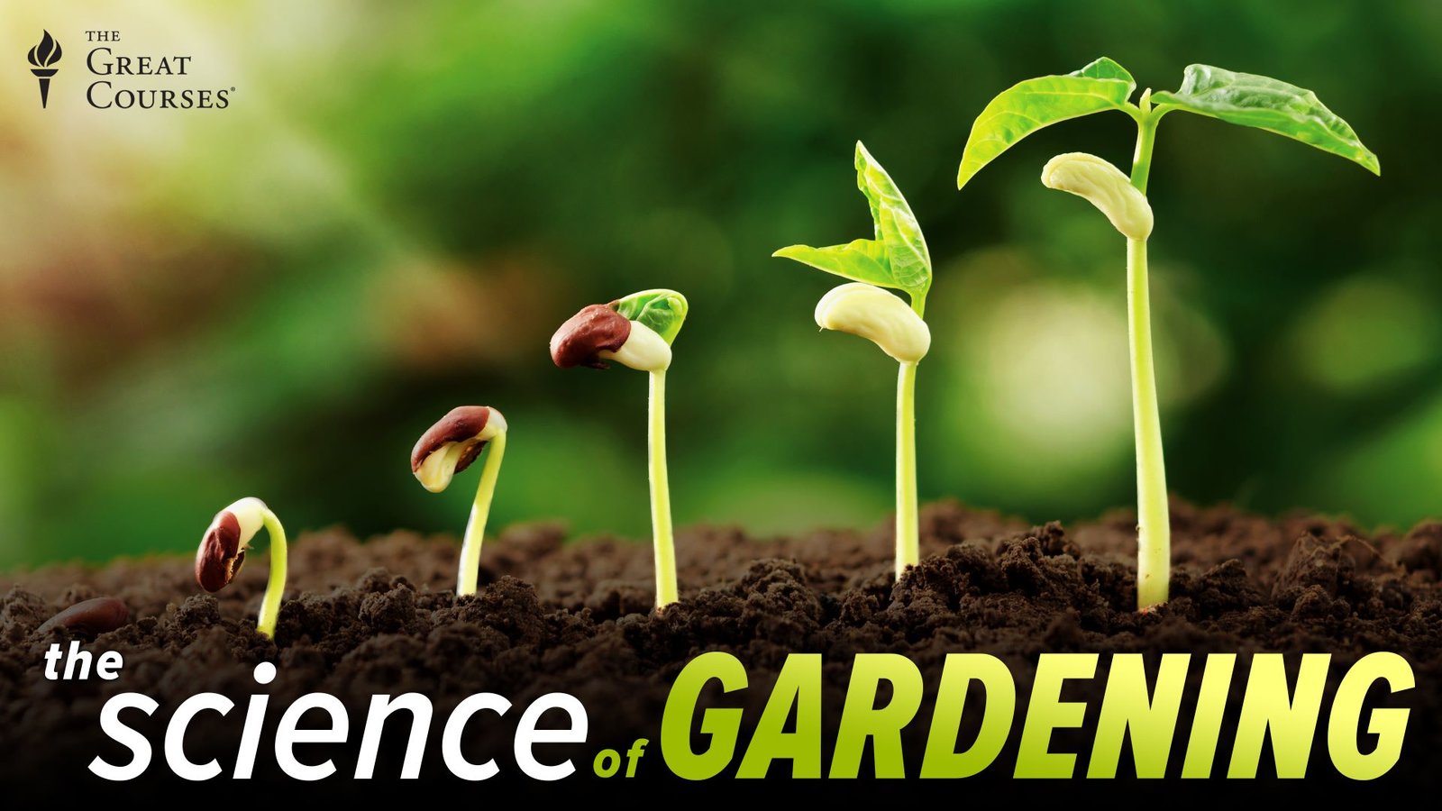 The Science of Gardening
