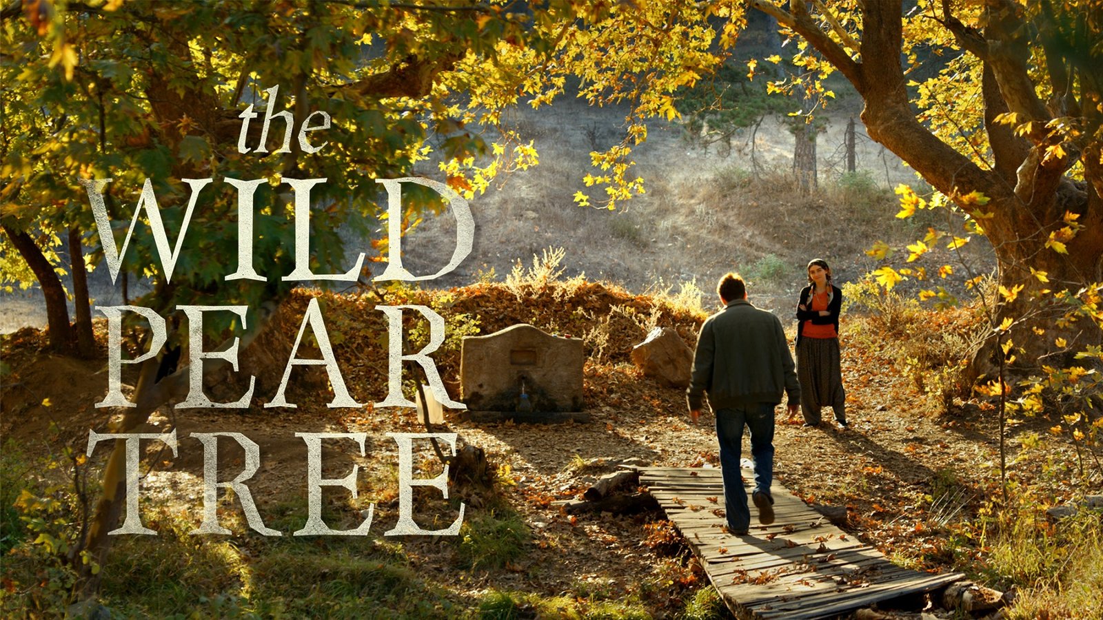The Wild Pear Tree - Ahlat Agaci