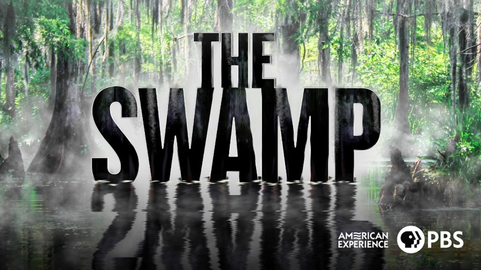 American Experience: The Swamp