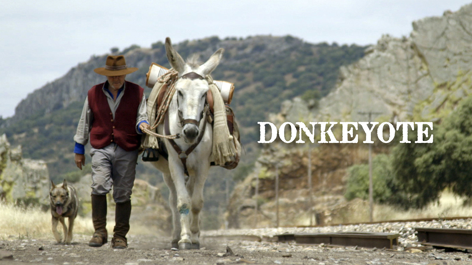 Donkeyote